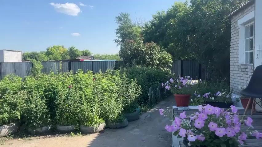 The video shows a backyard scene on a sunny day. In the foreground, a wooden porch is decorated with potted flowers, including pink and white petunias. A black chair is placed on the porch. To the right of the porch, a rustic wooden bench is covered with a brown blanket, and a small wooden table sits in front of it, holding a small potted plant and a lighter. A brick wall forms the backdrop to the porch and bench. To the left of the porch, a pathway leads towards a lush green garden with a variety of plants and flowers. In the background, a weathered wooden fence separates the yard from neighboring properties, and trees and a blue sky with white clouds are visible.