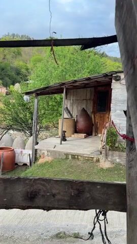 The video shows a brown puppy sitting on a concrete platform. The puppy has a white patch on its chest and is secured with a chain leash. Behind the puppy are a large metal drum, a wooden shed, and a dark brown, pear-shaped object. The background features green trees and a building with a rusty roof. The ground in front of the platform is covered in grass and a wooden fence.