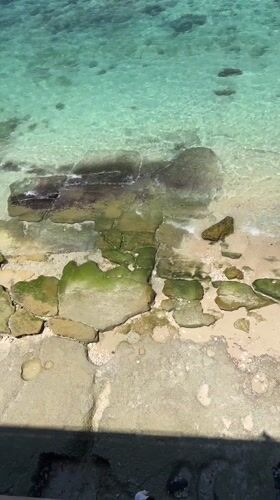 Two swimmers spotted in clear waters near Ungasan, Indonesia