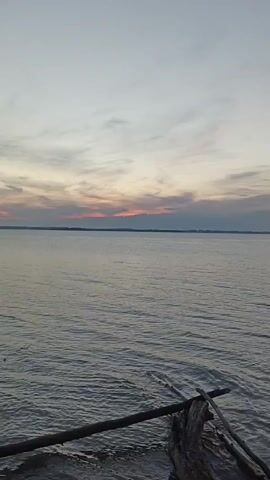 A video shows a vast body of water under a dusky sky. The water is calm, with gentle ripples and a slight sheen reflecting the dim light. The sky is a soft gradient of pale gray and muted pink, with wispy clouds streaking across the horizon. A dark, indistinct line of land or trees is visible in the far distance. In the foreground, partially submerged in the water, are several pieces of driftwood, one of which is a thick, gnarled log. The overall atmosphere is tranquil and serene, with the natural elements of water and sky dominating the scene. There are no people or animals visible in the video.