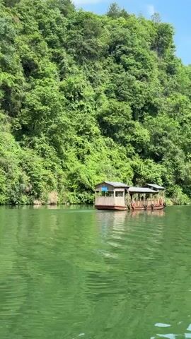 The video depicts a scene on a green river, possibly a lake, with lush green trees covering the banks and rising up a hillside. The water's surface is slightly rippled, reflecting the greenery. In the initial frame, a small, wooden, floating structure with a roof can be seen, possibly a dock or a small building. As the video progresses, the perspective shifts, moving along the riverbank, revealing more of the dense forest and the occasional rocky outcrop on the hillside. The only action is the slow movement of the camera, likely from a boat on the water. There are no people visible in the video. The environment is serene and natural.