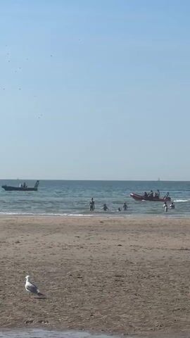 The video shows a beach with a sandy shore and the ocean in the background under a clear blue sky. In the foreground, a seagull stands on the sand. Further out, several people are visible in the shallow water near the shore. Two boats are in the water: a dark-colored boat on the left and a red inflatable boat with several people on the right. The red boat appears to be moving. The waves are small. The scene depicts a typical day at the beach with recreational activities.
