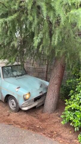 The video captures an old, light blue car, heavily damaged and resembling the enchanted Ford Anglia from Harry Potter, appearing to be crashed into a thick tree trunk. The car's exterior is dented, rusty, and weathered, with a cracked windshield, missing grille, and askew side mirrors. One of its headlights intermittently glows and flashes. The vehicle is situated outdoors, partially obscured by the branches of a large pine tree. The ground beneath the car is covered in dry brown pine needles. In the background, a stone wall and green foliage are visible. Throughout the video, a distinctive sputtering and whirring engine sound, reminiscent of the magical car from the Harry Potter series, plays, suggesting this is a themed exhibit. The scene is set during the daytime, likely in a theme park environment like Universal Studios in Osaka, Japan.