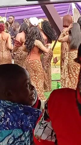 The video shows a crowded outdoor event, seemingly a wedding reception. Many attendees are dancing on a green floor under a tent adorned with purple decorations. Most of the women are wearing similar brown and gold patterned dresses. The focus is often on the dancers, but the video occasionally captures members of the audience. The sound indicates that loud music is playing. The atmosphere appears celebratory.