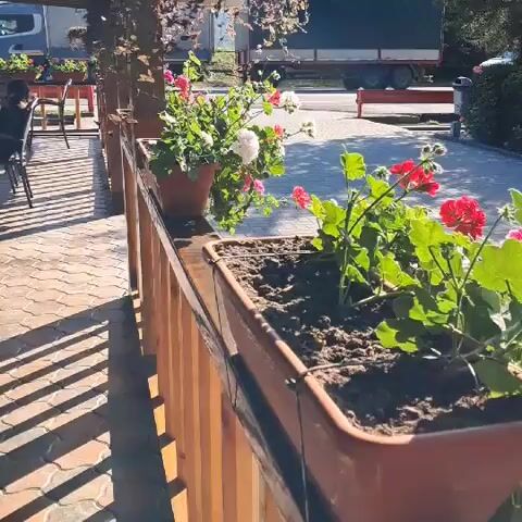 The video shows a close-up view of a planter box filled with soil and plants, including pink and white flowers. The planter is on a wooden railing, with a paved area and a truck in the background. The sun is shining, casting shadows on the ground. The camera pans slightly, showing more of the plants and the surrounding environment.