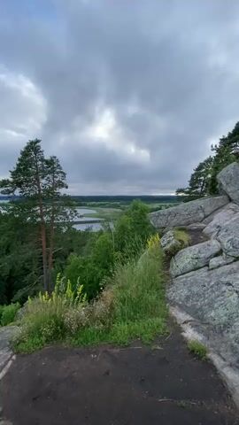 The media file captures a panoramic view from a rocky outcrop overlooking a vast, verdant landscape. A prominent pine tree stands tall in the mid-ground, its branches reaching towards a cloudy sky. The foreground is dominated by rough, grey rocks and a patch of dark earth, suggesting a natural, rugged terrain. Lush green foliage, including dense conifer forests and scattered deciduous trees, blankets the rolling hills that recede into the distance.

A tranquil body of water, possibly a lake or a wide river, is visible in the mid-distance, reflecting the muted light of the overcast sky. Beyond the water, the landscape transitions into flatter plains with hints of cultivated fields or sparse settlements, creating a sense of depth and expanse. The overall scene is one of serene natural beauty, with the cloudy sky suggesting either early morning or late afternoon, a time often associated with soft, diffused light. The weather appears to be cool and possibly damp, contributing to the natural, untamed atmosphere of the location.

The setting evokes a feeling of peaceful solitude and awe at the grandeur of nature. The absence of any human figures or man-made structures in the immediate vicinity emphasizes the wild character of the place. The rocky elevation provides a vantage point, allowing for an expansive view that draws the viewer's eye across the different layers of the landscape. The media file does not contain any visible text.