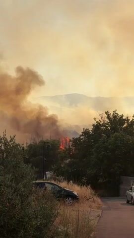 A wide shot captures a wildfire in the background, with thick smoke billowing into a hazy, orange sky. In the middle ground, flames are visible, engulfing trees and structures. In the foreground, lush green trees stand tall, with dry, yellow grass at their base. A black car is parked on the side of a paved road, partially obscured by the grass. Another white car is visible on the road further down. The overall scene depicts a destructive fire encroaching on a populated area.