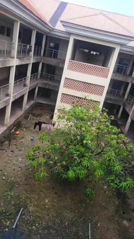 The video shows an aerial view of an open courtyard with a tree in the center. The courtyard is surrounded by a multi-story building with balconies and open walkways. The building appears to be made of concrete and has a light-colored roof. The courtyard itself is unpaved and appears to be dirt or gravel. There is some debris scattered around, including what looks like laundry hanging on a line on the left side of the frame. The tree is green and leafy, with some fruit or seed pods visible on its branches. The sky is visible above the building, and it appears to be daytime.