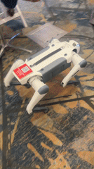 Tech conference with robotic demonstrations at Tel Aviv hotel
