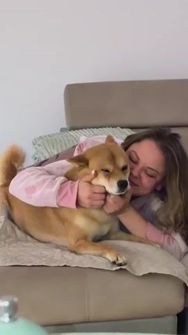 The video shows a young woman and a medium-sized, light brown dog sharing a moment of affection indoors in Priseltsi, Bulgaria. The woman, with long, wavy brown hair and wearing a pink long-sleeved top with heart patterns, is lying down on what appears to be a sofa or bed. She is embracing the dog, holding its face gently with both hands, and appears to be kissing its head. The dog, with tan fur and a curled tail, has its eyes closed and seems very comfortable and content with the affection. A light-colored blanket or sheet is spread beneath the dog, and a light green blanket is visible in the background on the sofa. The overall scene conveys warmth, love, and comfort between the woman and her pet. Faint background audio with spoken words can be heard, suggesting a television or radio is playing.