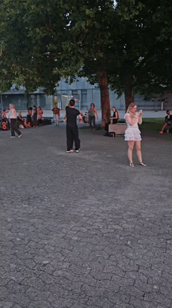 Dancing and golden sunset on a Rorschach summer evening