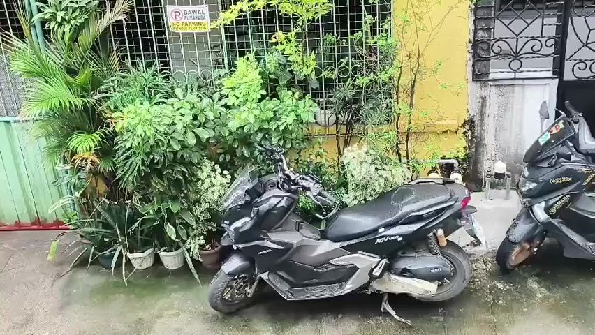 The video shows two black scooters parked on a wet, paved surface. The scooter in the foreground is a Honda ADV 150, and the scooter in the background is a Yamaha NMAX. Both scooters are parked in front of a building with a yellow facade and a barred window. Lush green plants in pots are arranged in front of the window. A metal gate is visible to the right of the building. A "NO PARKING" sign is attached to the metal gate. The lighting suggests it is daytime.