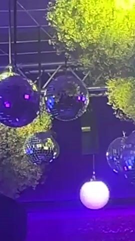 The video shows several disco balls hanging from the ceiling, with vibrant green foliage visible behind them. The disco balls are various sizes, and they reflect purple and white lights. A black speaker is also suspended from the ceiling.