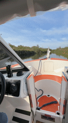 Cruising the Norfolk Broads on a calm sunny morning