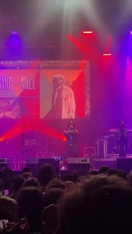 A live band performs on a stage. A man with long dreadlocks wearing a black jacket and bucket hat sings into a microphone while walking left and right in front of center stage. To the right, a man in a black jacket stands behind a keyboard. Purple and red stage lights shine on the band. Behind the band is a large screen displaying the band’s name “NINE MILE” along with an image of a man with dreadlocks. A crowd of people is shown from behind, facing the stage. Some people are raising their hands and recording the performance with their phones. There are drums and other musical equipment on stage.