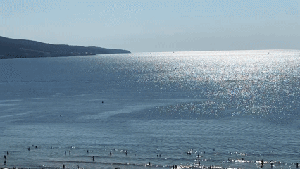 Nesebar's Black Sea coast on a busy summer morning