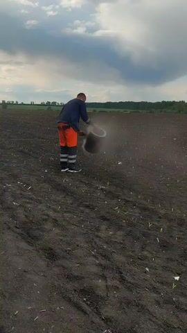 A person standing in a field is shown sprinkling a gray powdery substance from a gray pail onto the field. The person is wearing an overshirt, orange pants with reflective gray and white stripes, and dark shoes. The field is large and contains rows of small plants. Beyond the field is a row of trees and a partly cloudy sky.