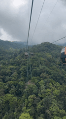 Cable cars traverse forest canopy in overcast Đà Nẵng morning