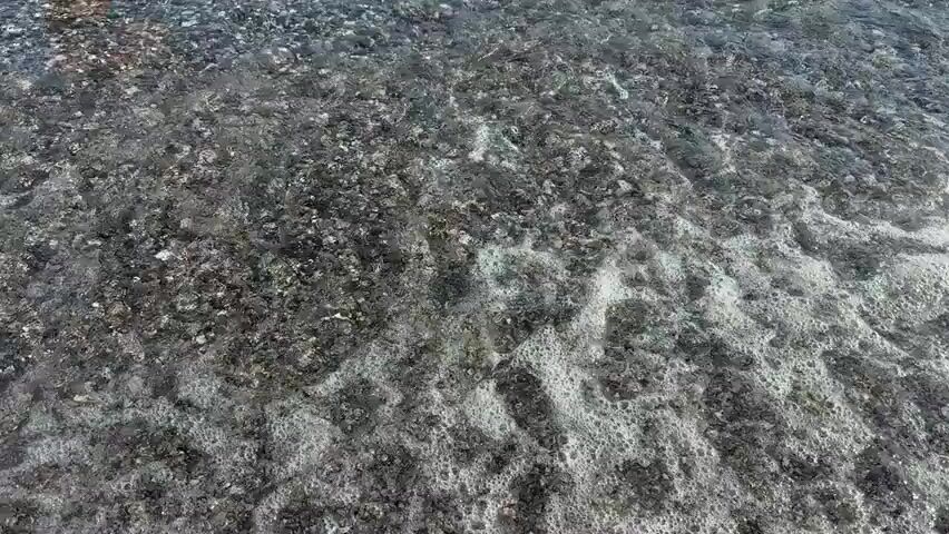 The video captures a close-up view of a tranquil pebble beach in Anatolikos Sinikismos, Greece. The scene features countless small, dark, and smooth pebbles forming the shoreline. Clear, light greenish-blue seawater gently washes over these stones. Initially, the water recedes, revealing the wet pebbles. Then, a small wave rolls in, building momentum before breaking into a crisp line of white foam as it reaches the very edge of the shore, briefly covering the pebbles with frothy water. The sound of the waves is audible, enhancing the serene atmosphere. The bright lighting suggests it is daytime, likely sunny, and the water appears calm with a gentle swell. No people, objects other than the natural elements, or visible text are present in the footage.