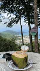 Coconut vendor serves drinks at Karon Thailand viewpoint