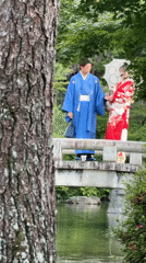 Morning tourist activities documented across Kyoto shrines and cafes