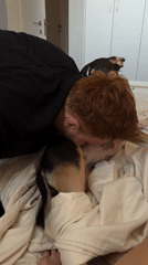 Close-up moments with a dog on a bed in Tel Aviv