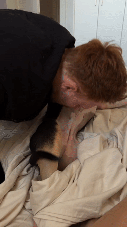 Close-up moments with a dog on a bed in Tel Aviv