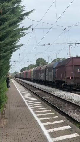 A long freight train with multiple cars is traveling on a railway track. A single person is standing on the paved platform to the left of the train, facing the train as it moves away. The platform has white markings on its edge. A dense green hedge borders the platform on the far left. Overhead, numerous power lines crisscross the sky, supported by poles visible in the background. The sky is overcast. The train cars are a mix of colors, primarily dark brown and some red, and appear to be open-top wagons. The train is moving from right to left in the frame.