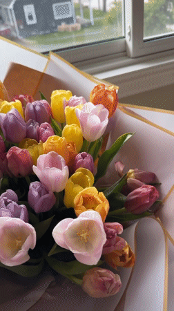 Colorful tulip bouquet spotted by window in residential setting