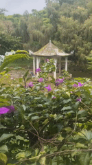 Early morning documentation of Buddhist shrines and nature in Đà Lạt