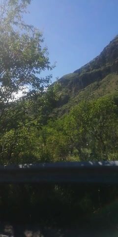 This is a video taken from inside a vehicle, looking out at a green landscape with a mountain in the background. The video is shaky and tilted, suggesting the vehicle is moving. The sun is shining and it appears to be a clear day. A metal railing is visible on the right side of the frame, indicating the presence of a fence or barrier. The footage pans across the trees and the mountain, with occasional glimpses of other vegetation and the sky.
