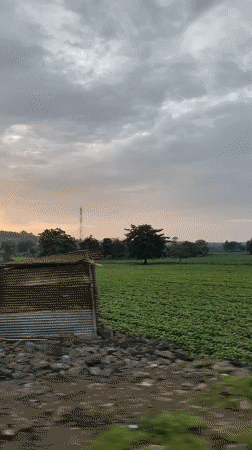 Wadhona, India
