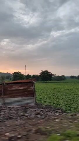 The video pans across a rural landscape under a cloudy sky, likely at dusk or dawn. In the foreground, there is a blurry strip of green vegetation, suggesting the footage is taken from a moving vehicle. Beyond this, a vast, vibrant green field stretches out, appearing to be a cultivated crop. Several trees are scattered across the landscape, with a tall tower or antenna visible in the distance. The sky is filled with grey clouds, but a soft glow of light suggests the sun is low on the horizon. The overall impression is a serene, natural environment.