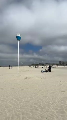 The video shows a sandy beach with several people scattered across it. In the foreground, a tall pole with a blue and white boat-shaped object at the top stands on the sand. A few people are visible in the mid-ground, including a person sitting on a blue blanket and another person standing near a dark-colored dog. Further in the background, more people are seen relaxing on the beach, and buildings can be observed along the coastline. Seagulls are flying in the sky. The sky is partly cloudy.