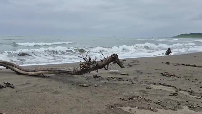 A person is sitting on a sandy beach next to the ocean. The ocean has waves and the sky is cloudy. There is a large piece of driftwood in the foreground.