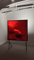 LED art exhibition with pixelated displays documented in Paris