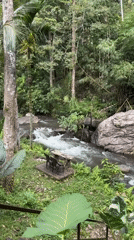 River flows through lush forest in Busungbiu, Indonesia