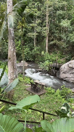 River flows through lush forest in Busungbiu, Indonesia