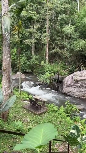 River flows through lush forest in Busungbiu, Indonesia