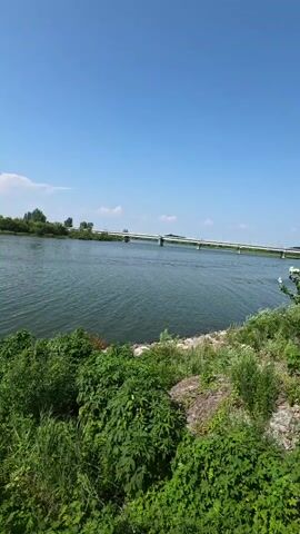 A scenic, static shot captures a wide river under a clear blue sky. Lush green vegetation grows along the riverbank in the foreground. In the distance, a long bridge stretches across the water, with trees lining the opposite bank. The water is calm, with gentle ripples on its surface.