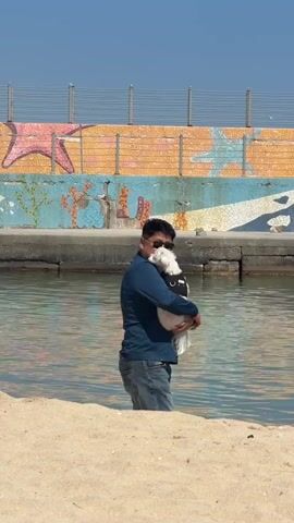 A man wearing a dark blue long-sleeved shirt, jeans, and sunglasses stands knee-deep in the ocean holding a small white dog in his arms. The beach is sandy, and behind the man is a low concrete wall covered in a mural of sea creatures. Above the wall is a metal fence against a clear blue sky. The water is calm and reflects the sky.