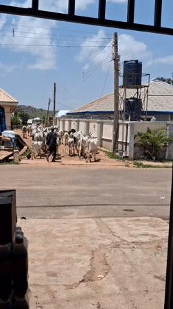 Street life, market scenes, and daily routines across Jos, Nigeria