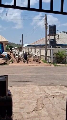 Street life, market scenes, and daily routines across Jos, Nigeria