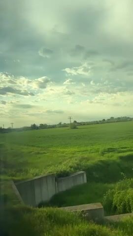 The camera is positioned inside a moving vehicle, likely a train or car, looking out over a rural landscape. In the foreground, there's dense, green grass and bushes. Beyond this, a large field alternates between patches of vibrant green crops and recently plowed, dark brown soil. A few scattered trees and power line towers are visible in the middle distance. The sky is partly cloudy with diffuse sunlight breaking through. The overall impression is of a rural, agricultural area on a day with variable weather.