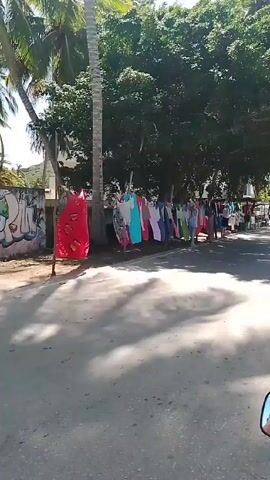 The video shows a roadside display of clothing. The camera appears to be mounted on a moving vehicle, passing along a road with trees on one side. Ropes are strung between the trees, and various items of clothing are hung on the ropes, apparently for sale. Some people are standing near the clothes. The scene takes place in daylight under sunny conditions.
