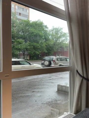 The video shows a view from inside a building, looking out through a white-framed window onto a rainy street scene. Rain is visible falling on the wet asphalt and the leaves of the green trees that line the street. Parked along the side of the road are a few cars, including a white sedan and a white SUV with a spare tire mounted on its back. A multi-story building is visible in the background, along with a smaller red-brick building partially obscured by the trees. A tan curtain hangs partially in the frame on the right side of the window. The scene is still and quiet.