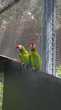 Tour through animals and aquatic exhibits at a Paris zoo