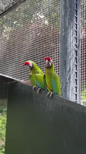 Tour through animals and aquatic exhibits at a Paris zoo
