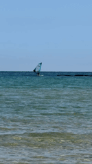 Serene morning captured at Bat Yam coast with windsurfing activity