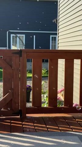 The video captures a sunny outdoor scene with a wooden deck in the foreground, casting long shadows. A wooden gate and railing made of stained wood are prominent. Beyond the railing, a potted plant with purple flowers is visible, along with pink flowers and green foliage. In the background, two houses are partially visible. The house on the left has dark blue siding and white-trimmed windows, while the house on the right has light-colored horizontal siding. Several small, translucent bubbles float through the air throughout the scene. There are no people visible in the video.
